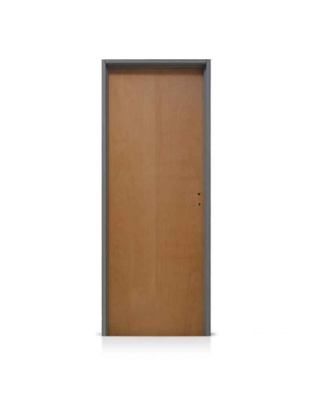 PUERTA PLACA LIC 80 MARCO DE CHAPA 22 M 120