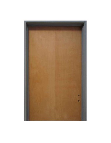 PUERTA PLACA LIC 80 MARCO DE CHAPA 22 M 120