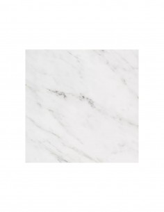 PORCELANATO MARMOL CARRARA BRILL 53x53 P/M2