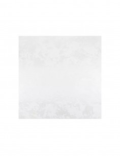 CERAMICO BLANCO PLUS LISO 35x35 P/M2
