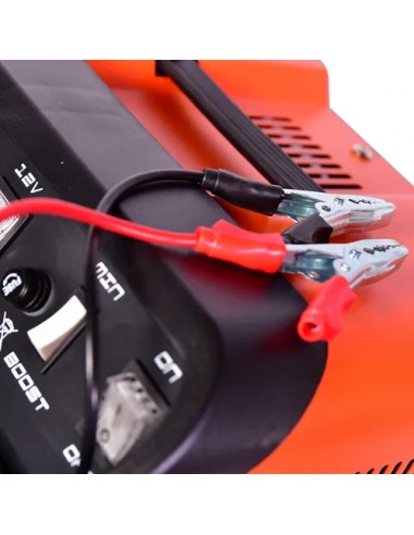 CARGADOR DE BATERIA 30A 12/24V LUSQTOFF